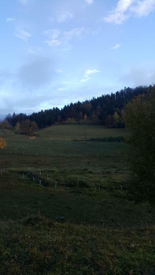 Residence Vallee Des Lacs Le Tholy Luaran gambar